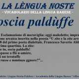 I termini dimenticati del dialetto barese